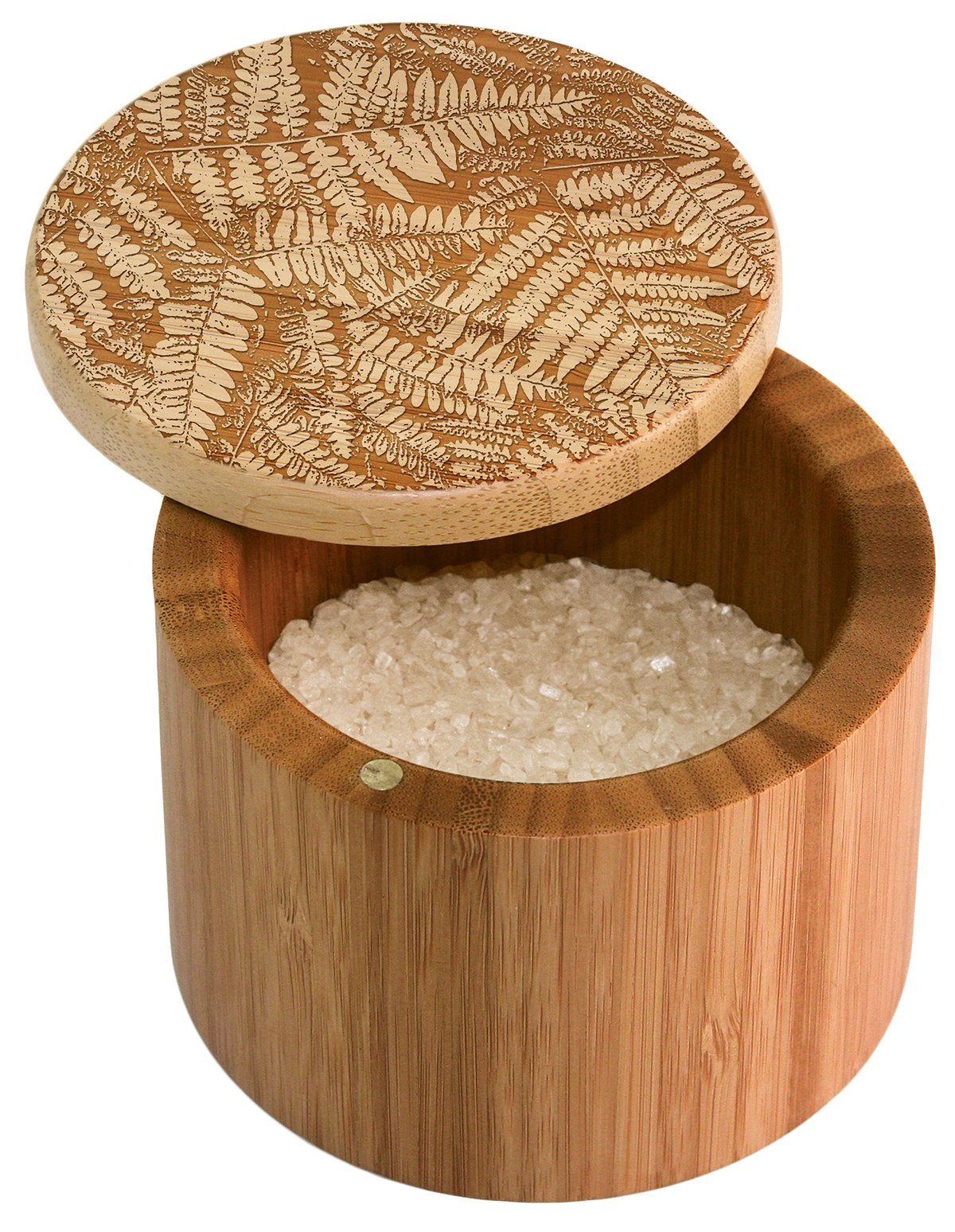 Salt Box - Fern