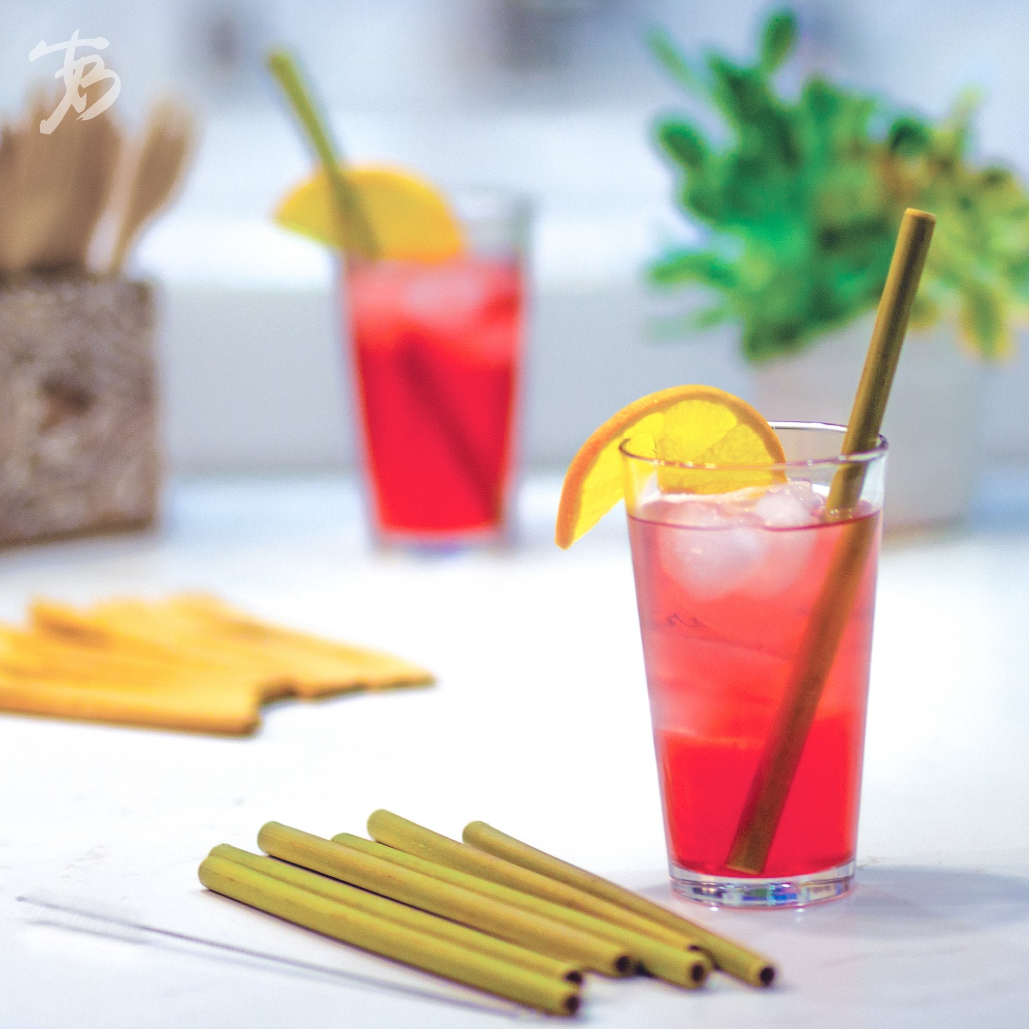 Reusable Bamboo Drinking Straws (8-Pack with Cleaning Brush)