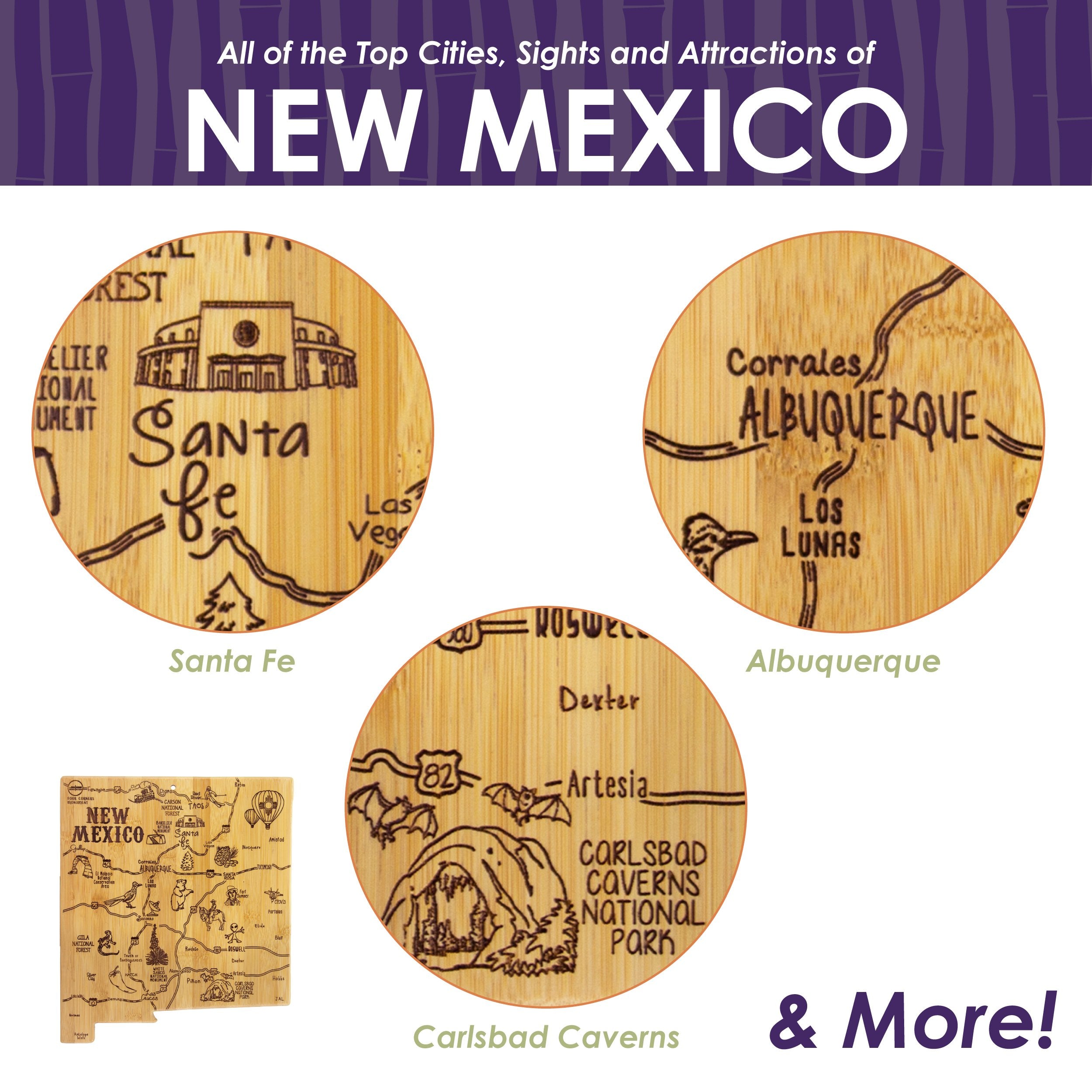 Destination New Mexico