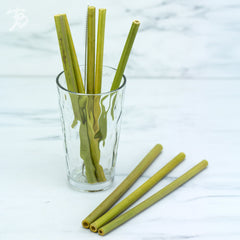 Reusable Bamboo Drinking Straws (8-Pack with Cleaning Brush)